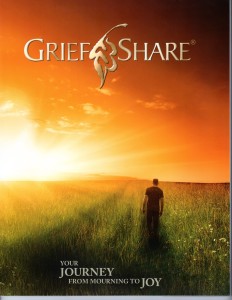Grief Share Cover 106