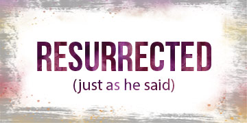 Resurrected (just as He said)